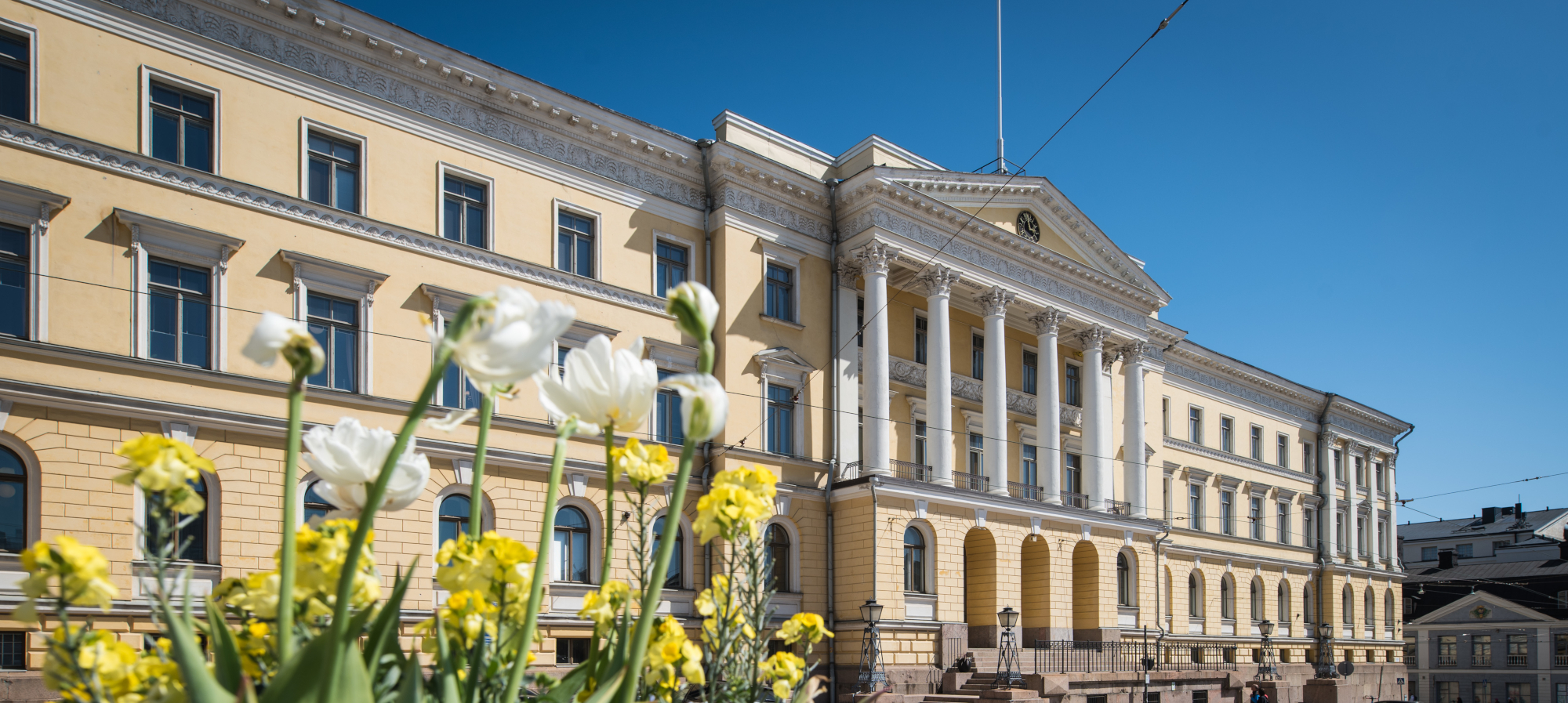 Etusivu Valtioneuvoston Oikeuskansleri Etusivu Valtioneuvoston Oikeuskansleri